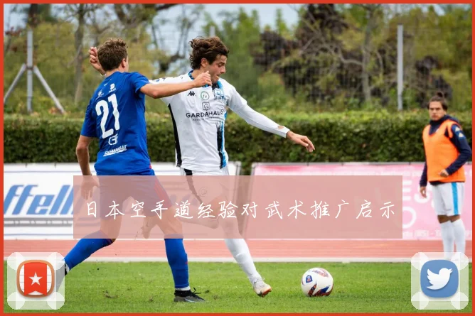 日本空手道经验对武术推广启示