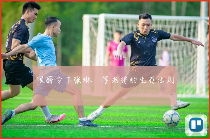 限薪令下张琳芃等老将的生存法则