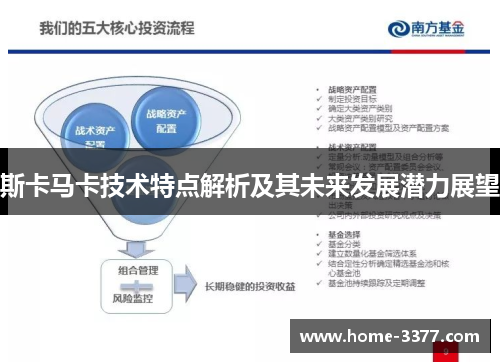 斯卡马卡技术特点解析及其未来发展潜力展望