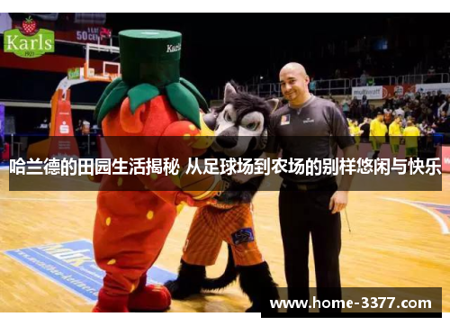 哈兰德的田园生活揭秘 从足球场到农场的别样悠闲与快乐