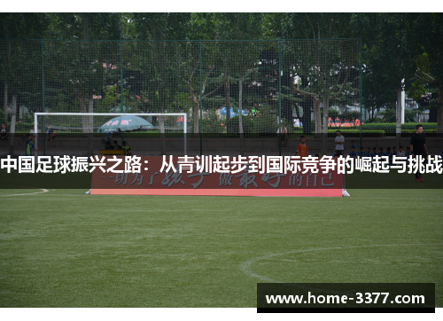 中国足球振兴之路：从青训起步到国际竞争的崛起与挑战