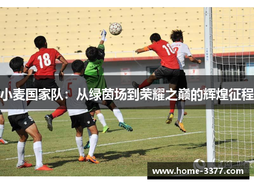 小麦国家队：从绿茵场到荣耀之巅的辉煌征程