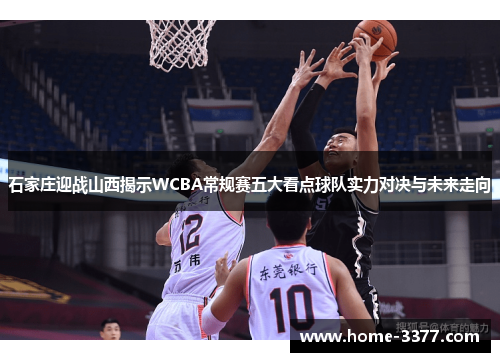 石家庄迎战山西揭示WCBA常规赛五大看点球队实力对决与未来走向