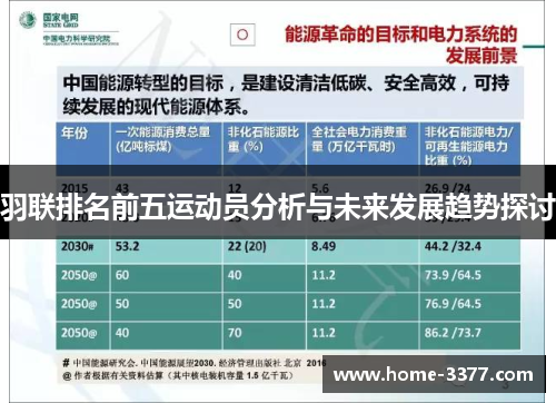 羽联排名前五运动员分析与未来发展趋势探讨