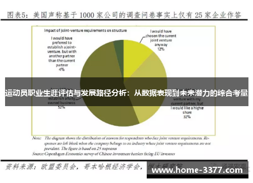 运动员职业生涯评估与发展路径分析：从数据表现到未来潜力的综合考量