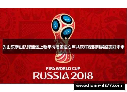 为山东泰山队球迷送上新年祝福表达心声共庆辉煌时刻展望美好未来