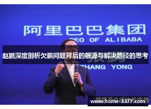 赵鹏深度剖析欠薪问题背后的根源与解决路径的思考