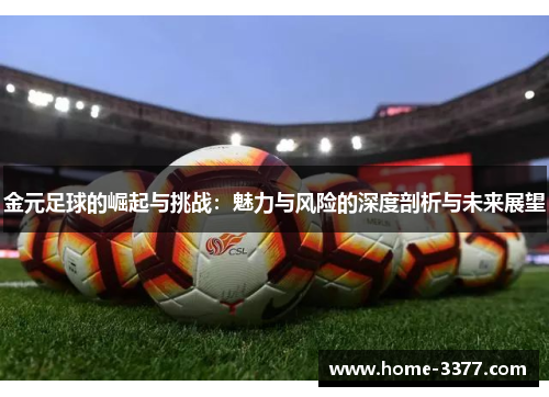 金元足球的崛起与挑战：魅力与风险的深度剖析与未来展望