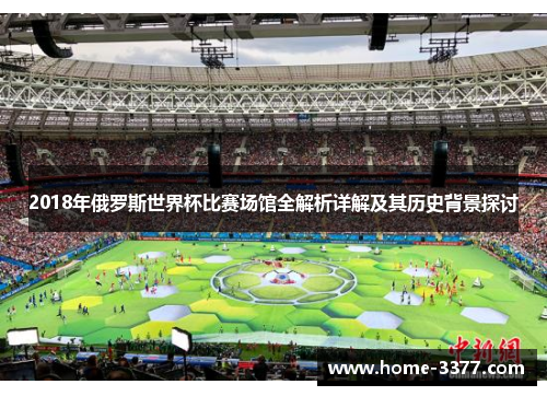 2018年俄罗斯世界杯比赛场馆全解析详解及其历史背景探讨