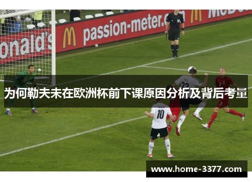 为何勒夫未在欧洲杯前下课原因分析及背后考量