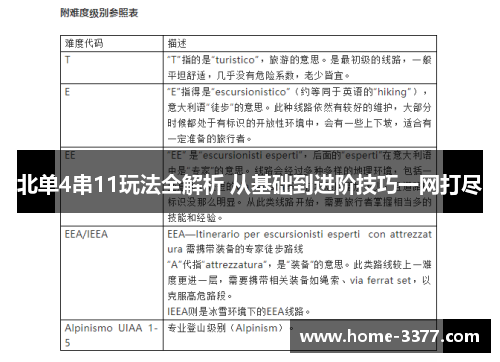 北单4串11玩法全解析 从基础到进阶技巧一网打尽
